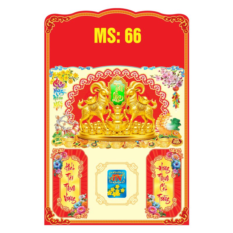MS66